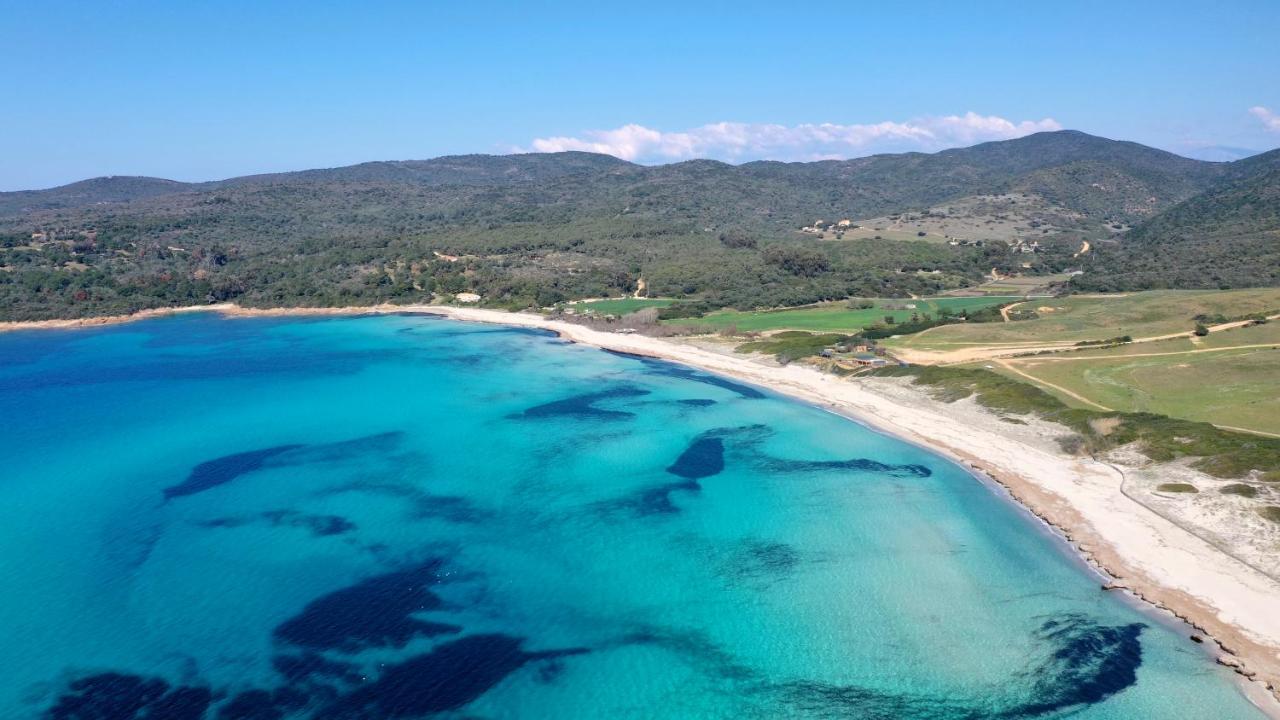 Magnifique Appartement Avec Balcon Vue Mer A L'Entree D'Ajaccio Ajaccio  Eksteriør billede